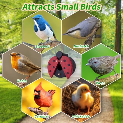 CLACKIBUKVYZ Ladybug-Shaped Wooden Bird House for Outside - Cute Hanging Birdhouse for Finches, Wrens, Cardinals, Bluebirds - Weather-Resistant Wild Bird Nesting Box - Garden Decor & Wildlife Habitat