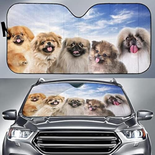 Couverture pare-brise voiture imperméable haute résistance motif Pékinois