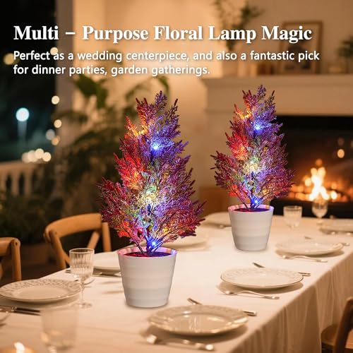 Image of Artificial Cedar Tree Lamp, Color Changing LED Light with White Pot, Battery Powered for Bedroom Wedding Christmas, Gifts for Women Mom Grandma Girlfriend on Birthday Christmas Valentines Mothers Day