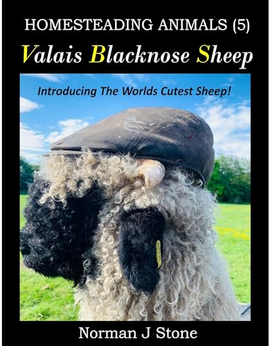 Homesteading Animals (5) Valais Blacknose Sheep: An Introduction To The Worlds Cutest Sheep! (Hobby Farm Animals) (English Edition)
