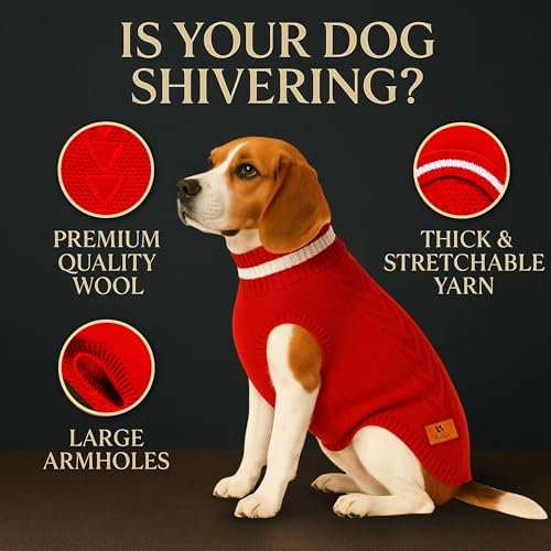 Image of Dog Sweater for Medium Dogs (Red, 22-Inch) - Soft, Stretchable Knit Dog Winter Clothes to Keep Beagle, Dachshund, Lhasa Apso & Pomeranian Keeps Them Cozy, Warm & Stylish