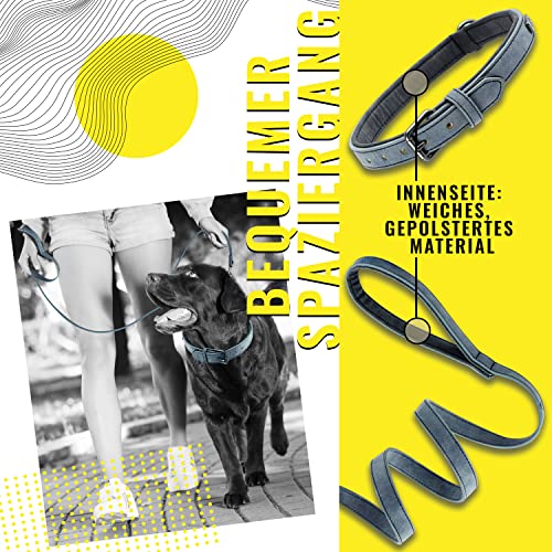 ne&no® Halsband und Leine Set (veganes Leder) Hundeleine mit Halsband I robuste Hundeleine mit Karabiner I Hundehalsband verstellbar I 1.2m Dog Leash I biegsam und extra weich (XS, blau/anthrazit)
