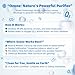 Vicalo Ozone Generators 30000mg/h, Ozone Generator with 120 Min Timer Ozone Machine for 300 ㎡ Room, Air Purifier for Home Pet Car Smoker Kitchen