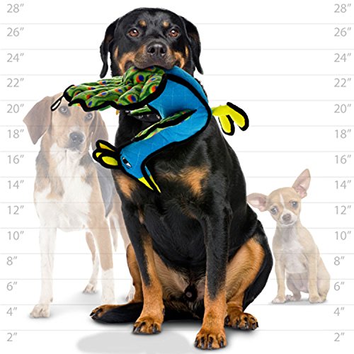 Tuffy - World's Tuffest Soft Dog Toy -Zoo Peacock- Multiple Layers. Made Durable, Strong & Tough. Interactive Play (Tug, Toss & Fetch). Machine Washable & Floats #TOP3