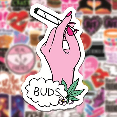 50 Pcs Friends Stickers| Best Friends Waterproof Vinyl Stickers for Bike Water Bottles Laptop Bicycle Refrigerator Cup Luggage Computer Mobile Phone Skateboard Decals