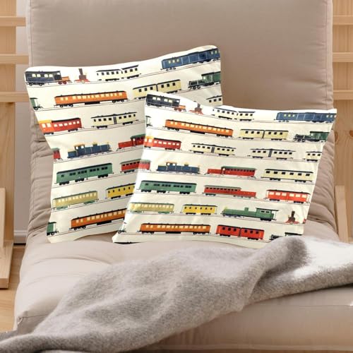 Housses de coussin velours train double face 50x50cm premium - 3