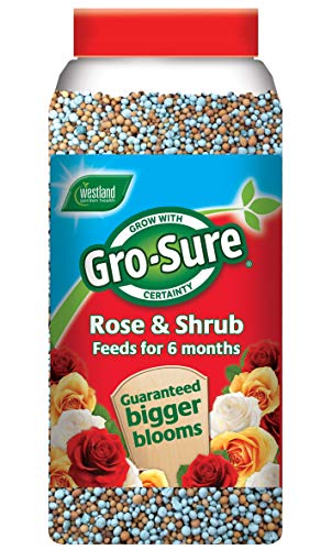 Gro-Sure 20100322 1.1 kg 6 Mes liberación Lenta Rose y arbustos (  Transparente