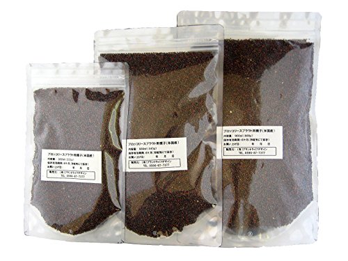 ブロッコリースプラウト種子(300ml) 高濃度スルフォラファン含有品種（種子のみセット）