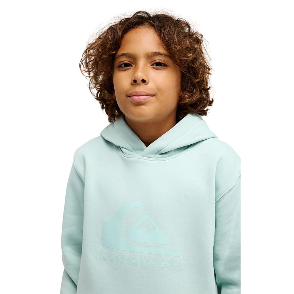 Quiksilver Comp Logo Hoodie Youth Pull-Over Garçon (Lot de 1)