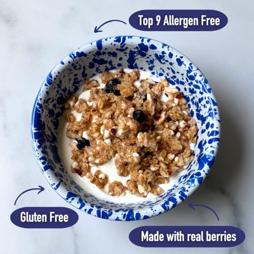 Image of The Safe + Fair Food Company All American Granola - Gluten-Free - 12oz