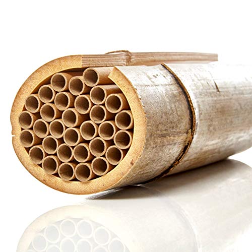 bambuswald© 100 Nisthülsen mit Ø 10mm | 15cm Länge für Wildbienen - 100% ökologische Pappröhrchen für Insektenhotel… – Bild 4