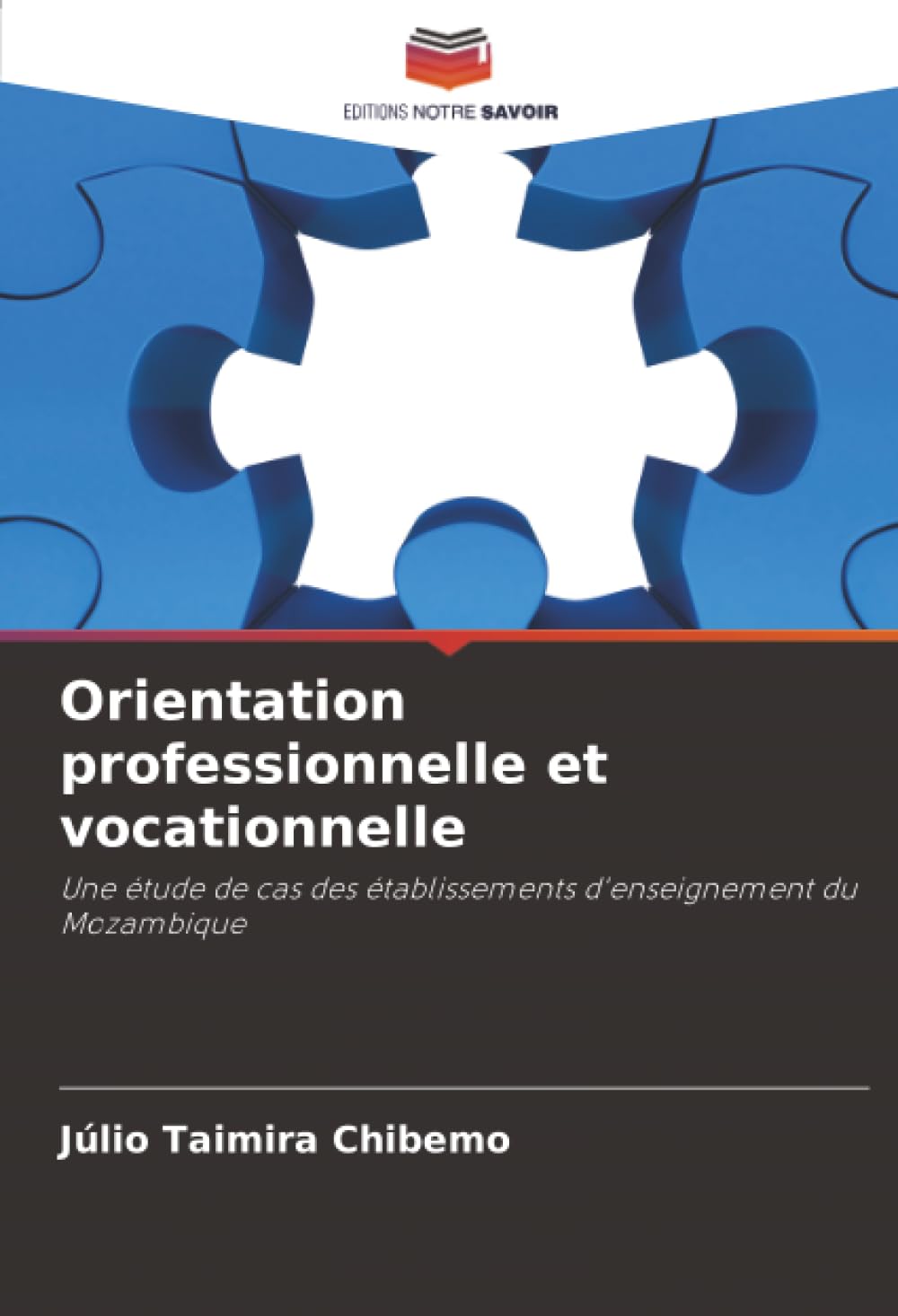 Orientation professionnelle et vocationnelle: Une étude de cas des établissements d'enseignement du Mozambique