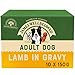 Price comparison product image James Wellbeloved Adult Lamb in Gravy 10 Pouches, Hypoallergenic Wet Dog Food, Pack of 1 (10x150 g)