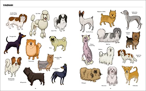 Große Hunde, kleine Hunde: Alle Hunde dieser Welt. Über 250 Hunderassen aus aller Welt
