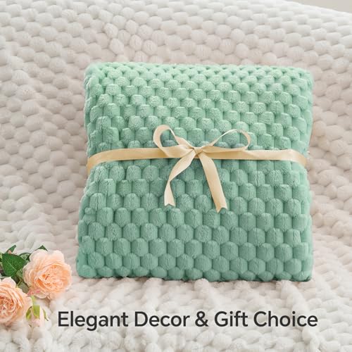 Image of BEDELITE Mint Green Twin Blanket for Couch, Soft Cozy Gift for Women, 60*80