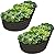 Plant & Plot Galvanized Raised Garden Beds Outdoor 6×3×1 ft, 8×4×1 ft