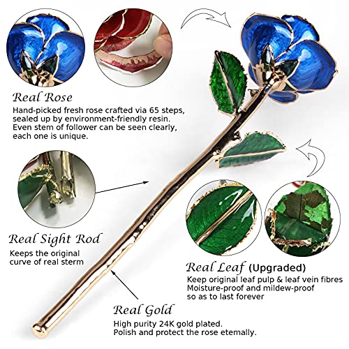Image of Sinvitron Gold Dipped Infinity Rose Forever Flower Decor, Resin Preserved Real Rose Birthday Gift for Women, Anniversary Present for Mom (Deep Blue)