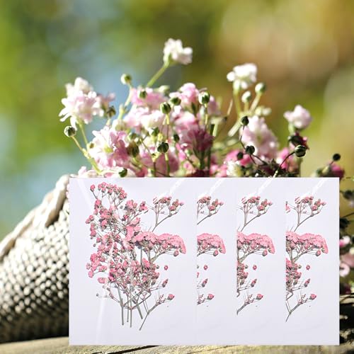 Flores secas Babys Breath rosa 96 piezas para manualidades miniatura 1