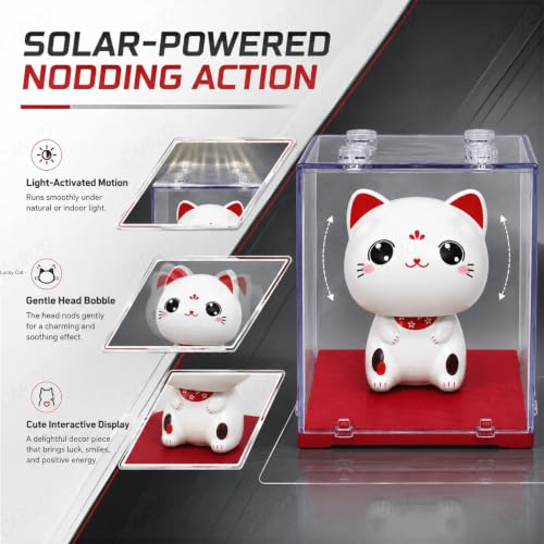 Image of CARIZO Solar Cat Bobble Head, Dashboard Decor, Clear Display Case
