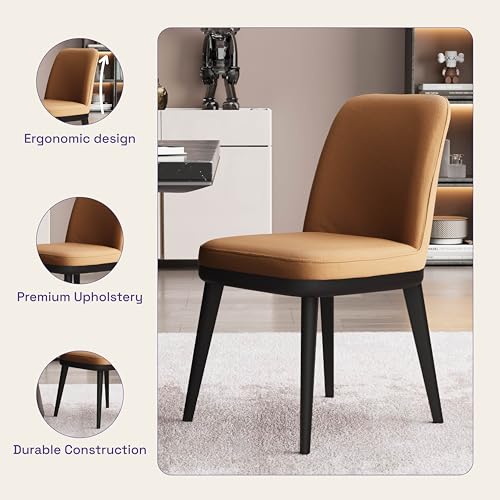 Image of Wakefit Arvia Dining Chair - Robin Tan