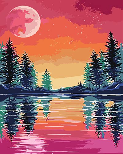 FILASLFT Paint by Numbers Full of Stars,Paint by Number for Adults,Paint by Numbers Kids Beginner, Paint by Number DIY Full of Stars Paint by Numbers for Gift Home Wall Decor 16X20 Inch.