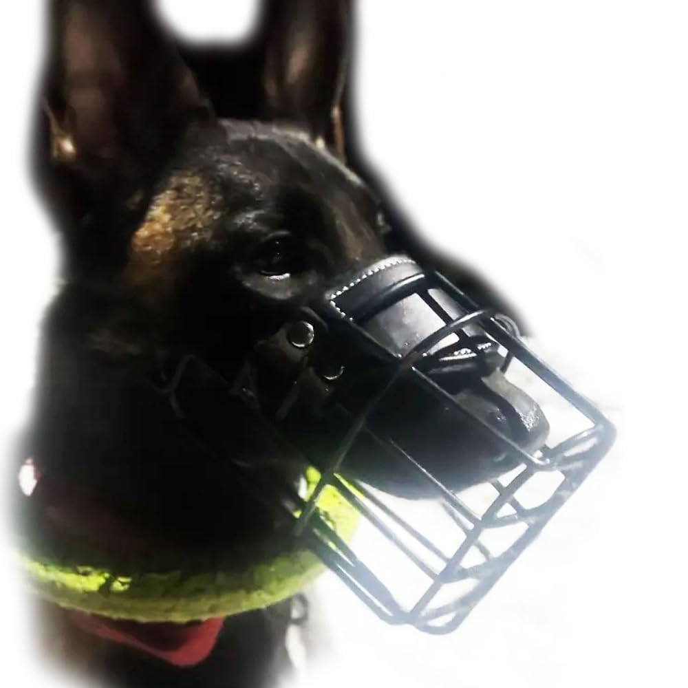 Bozal profesional de metal para perro (tamaño 31) – Cesta de alambre ergonómica para Schnauzer gigante, Doberman, Airedale Terrier, Husky – Entrenamiento resistente y equipo de seguridad diario