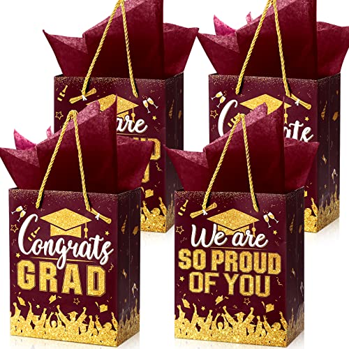 TaoBary 12 Pcs Graduation Gift Bags with Tissue Party Favor Bag Handles Class of 2026 Grad Paper Goodie Bulk for Congrats Supplies(Burgundy Gold)