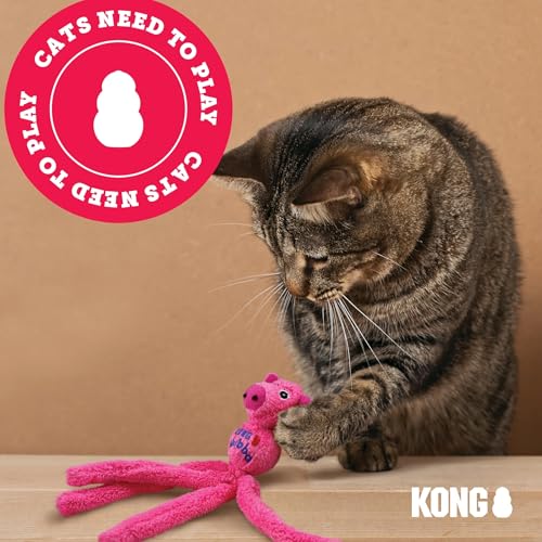 KONG – Cat ZoomGroom – Pflege- und Massagebürste aus Weichem Kautschuk für Katzen