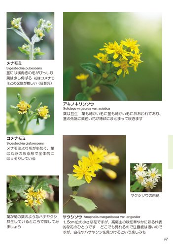高尾山 花のプチ歩き2 ふうか ふうか 本 通販 Amazon
