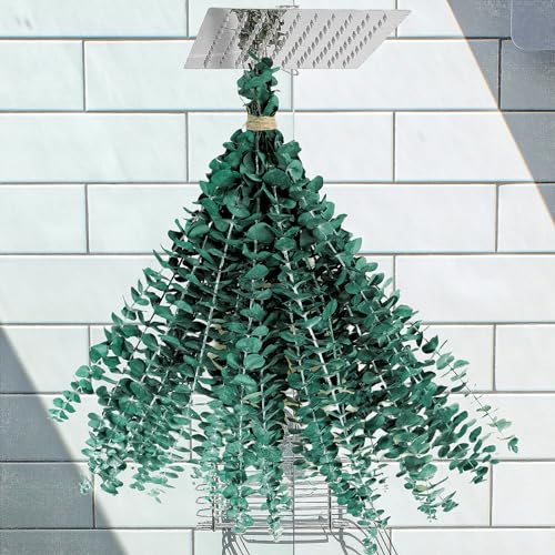 10PCS Dried Preserved Eucalyptus Real Plants: Artificial Eucalyptus Crafted from Fresh Eucalyptus Stems for Shower Hanging, Home, Apartment, Witch, Green, and Boho Bathroom Decor