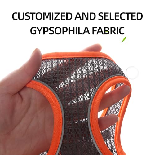 LOS ANDES Hundegeschirr mit Leine, Reflektierend, Weich Gepolstert, Air-Mesh, für Kleine Hunde und Katzen, in Grey Reflective, Größe S