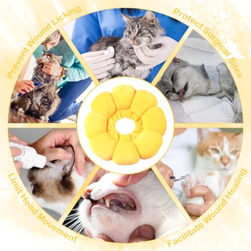 Halskrause Katze, Kragen Katze Set Mit Beißseil, Elisabethanischer Kragen Für Katzen, Verstellbares Halskrausen Für Katzen, Weicher Trichter Katze Für Katzen Mit Einem Kopfumfang Von 12-20cm