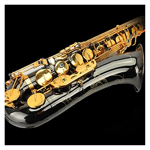 B-Flat Tenor Saxophone ubN jbP S[h Ǌy