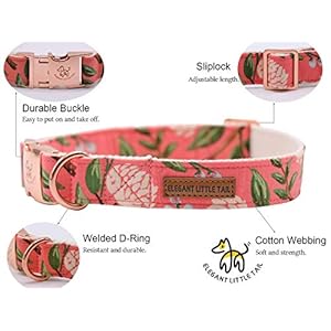 Elegant little tail Dog Collar, Pink Floral Print Pet Collar Summer Dog Collar Pet Collar Dog Cotton Durable Dog Collar Metal Buckle Collar for Medium Dogs Elegant little tail Dog Collar Pink Floral Print Pet Collar Summer Dog Collar Pet Collar Dog Cotton Durable Dog Collar Metal Buckle Collar for Medium Dogs