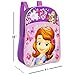 Sofia the First Mini Backpack - Bundle with 11 Inch Sofia the First Backpack, Disney Look and Find Activity Cards Tin Lunch Box with 2 Disney Hidden Pictures Board Booklets