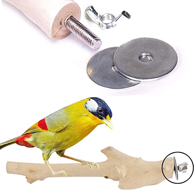 2x Abnehmbare Vogelfutterstation Für Käfig – Weiß, Mit Haken, Für Sittiche & Kleine Vögel