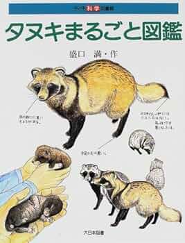 一ねんせいダヌキ 子どもの本-商品詳細｜新日本出版社