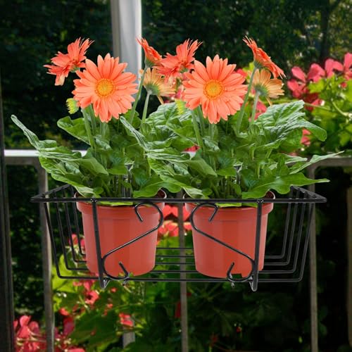 Soporte colgante de hierro macetas resistente sin romperse pack 2 negro 6