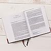 NKJV, MacArthur Study Bible, 2nd Edition, Leathersoft, Brown, Comfort Print: Unleashing God's Truth One Verse at a Time #5