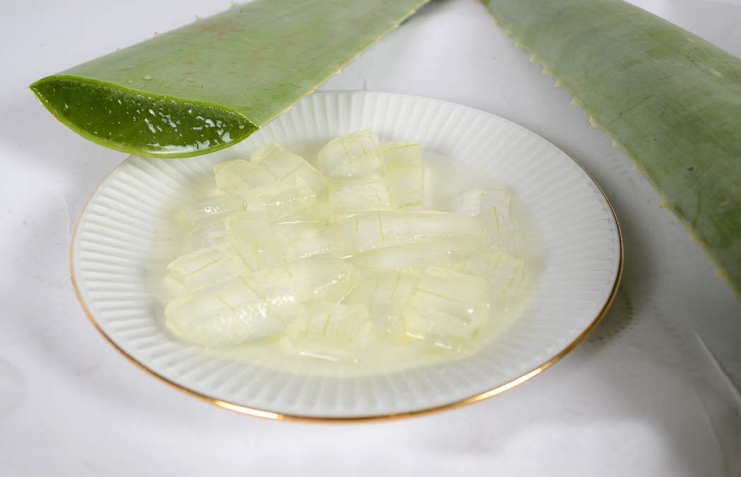 Meilleure feuille d'aloe vera bio