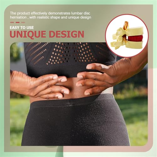 Modèle d'hernie discale lombaire 3D AMITD de haute précision - 6