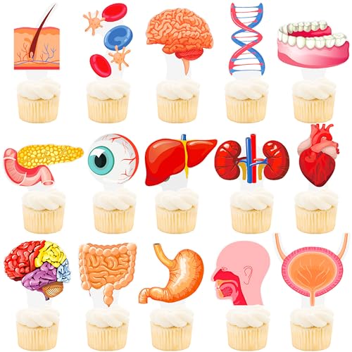 48Pcs Human Anatomy Party Cupcake Toppers Human Anatomy Body Part Birthday Party Decoration Human Anatomy Theme Cupckae Toppers for Doctor Nurse Birthday Party Baby Shower Supplies