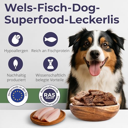 ECO WOOF Fisch Hundeleckerli - Getrocknete Wels Chips 97% mit Bierhefe - 375 g - Getreidefrei - Single-Protein - Mit Omega 3 - Unterstützt stabile Darmflora & Verdauung - Nicht fettend & Geruchsarm