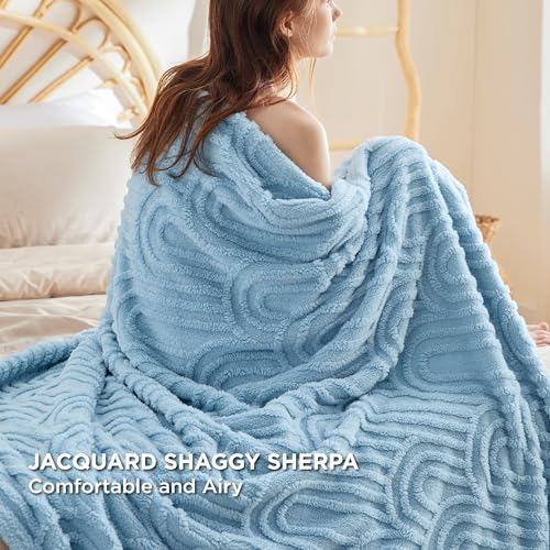 Bedsure Blue Throw Blanket For Couch thumb #2