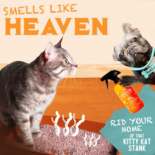 Angry Orange Pet Urine Odor Eliminator - Pack Of 2 Citrus Deodorizers For Strong Dog Or Cat Urine Smells On Carpet, Furniture & Floors - 24 Oz Spray & 8 Oz Concentrate - Puppy Supplies #TOP3
