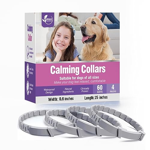 Top 10 Best Calming Collar For Dogs Reviews & Buying Guide Katynel