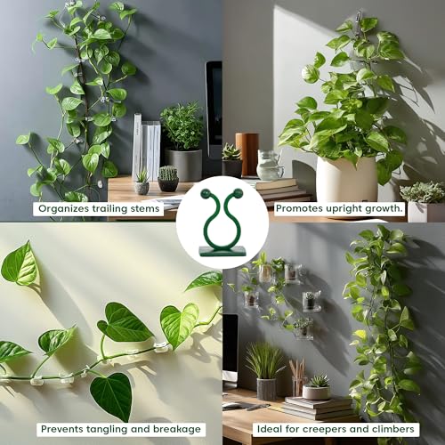 Image of Kyari Plant Clip Self-Adhesive Plant Clips for Climbers (Pack of 30)