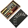 XUBX Kalligrafie Pen Set, kalligrafie dip pen met inkt en 12 roestvrijstalen punten, 2 Pennen, ganzenveer, 1 zegel, 1…