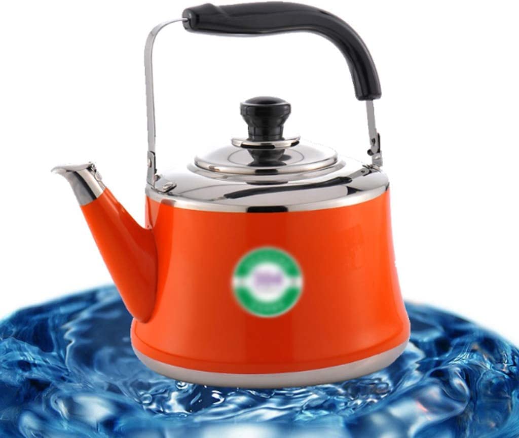 激レアClassic Kettle 1.2WILD-1 40th EDITION Amazon.com: MUYRJLZX Kettle stovetop Stainless Steel Classic