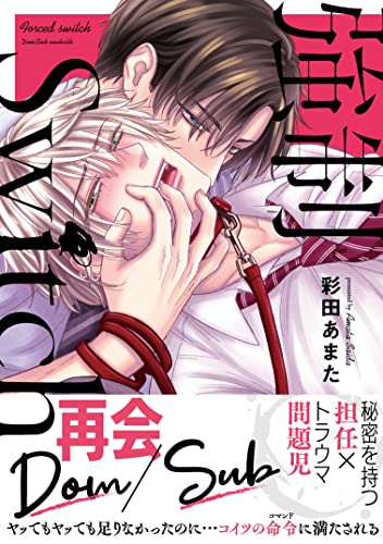 強制Switch【単行本版】【電子書店特典付き】 (BL宣言)